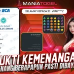 Bukti Kemenangan 43jt di Game Starlight Princess 1000