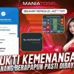 Bukti Kemenangan 45 JT di Game Lucky Neko