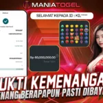 Bukti Kemenangan 60 JT di Game Starlight Princess 1000