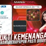 Bukti Kemenangan 50 JT di Game Wild Bounty Showdown
