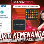 Bukti Kemenangan 45 JT di Game Starlight Princess 