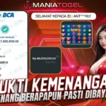 Bukti Kemenangan 67 JT di Game Starlight Princess Super Scatter