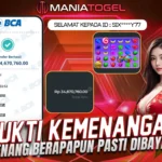 Bukti Kemenangan 34 JT di Sweet Bonanza 1000!