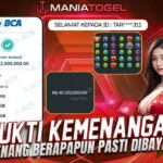 Bukti Kemenangan 62 JT di Game Starlight Princess 1000